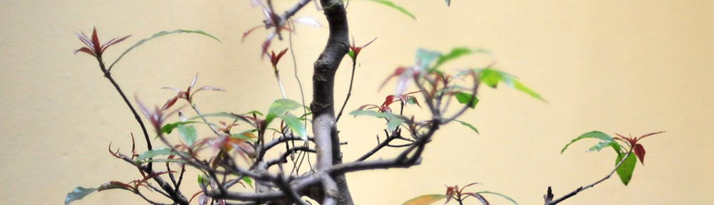 Mieszkaj nowocześnie